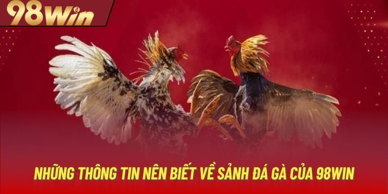 Tìm hiểu sơ lược về đá gà 98win kịch tính 